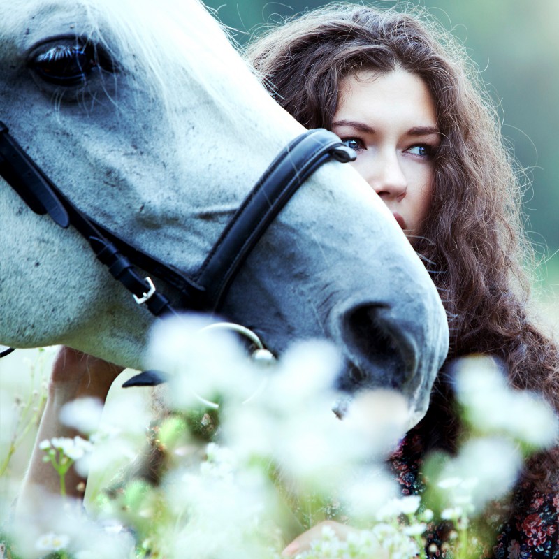 Verletzt na und? hundkatzepferd